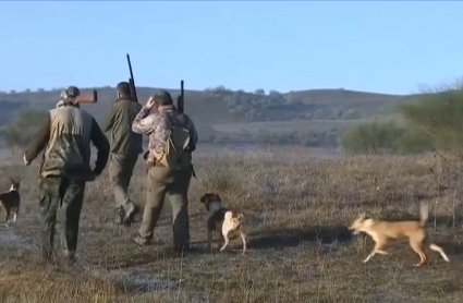 La caza tampoco se libra de las consecuencias derivadas de la crisis sanitaria del coronavirus. Un grupo de cazadores recorren el campo escopeta en mano en busca de presas.