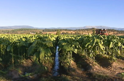 Las organizaciones agrarias piden precios justos para el campo