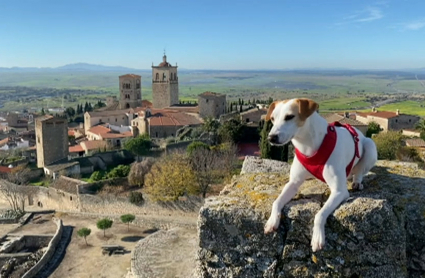 Pipper en Trujillo