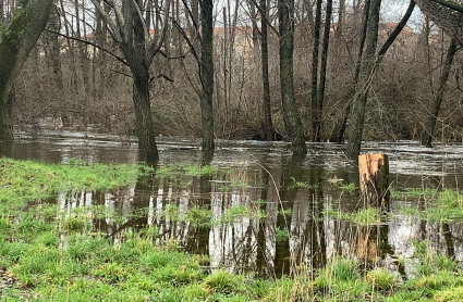 El río Jerte, desbordado a su paso por Plasencia