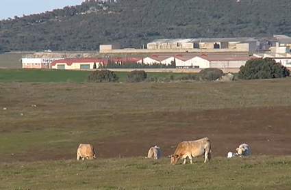 Proyecto del aeródromo de Cáceres