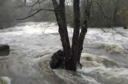 Crecida del arroyo de Las Pilas en Collado de la Vera