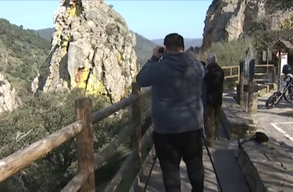 Avistamiento de aves en el Salto del gitano de Monfragüe