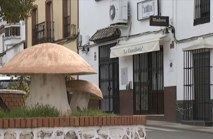 Gurumelo gigante en rotonda