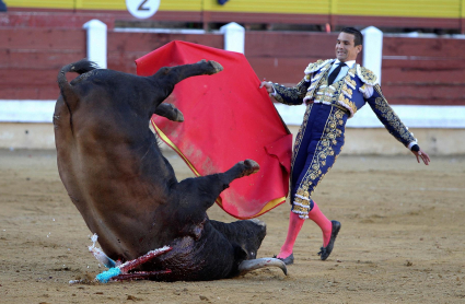 Manzanares torea en Mérida