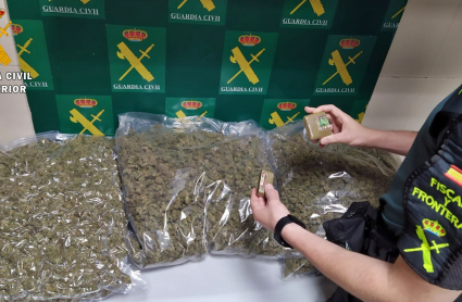 Cogollos de marihuana incautados por la Guardia Civil 