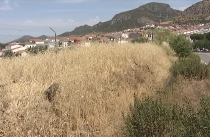 Lugar de accidente de coche en Hornachos