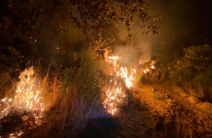 Incendio forestal en Peraleda