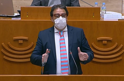 El consejero de Sanidad, José María Vergeles, durante su comparecencia en la Asamblea