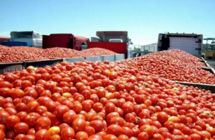 VIDI CAMION TOMATE CAMPAÑA