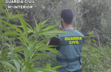 Operación de la Guardia Civil