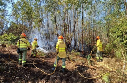 Bomberos trabajando en el incendio de Alburquerque