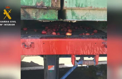 Imagen de la carga del camión con tomate en mal estado