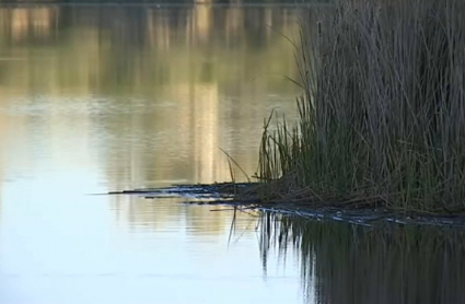 Río Guadiana