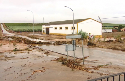 Daños provocados por la Dana en Arroyo de San Serván