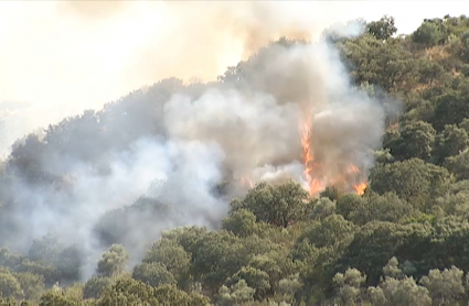Incendio forestal en Extremadura