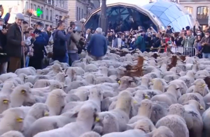 Fiesta de la trashumancia en Madrid