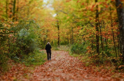 Uno de los paisajes otoñales que podemos ver en el entorno de Hervás