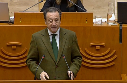 Fernando Baselga, diputado de Ciudadanos proponente de la enmienda sobre las batamantas