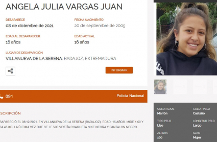 Ficha de la menor desaparecida en la web del Centro Nacional de Desaparecidos.