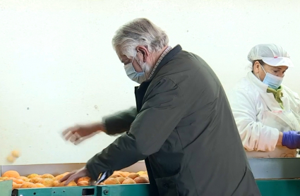 Miguel Pozo, agricultor, envasador y distribuidor de 'Naranjas de Montijo'