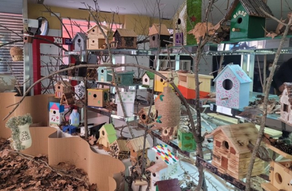 Casetas para pájaros hechas por las familias del Colegio Alfonso VIII.
