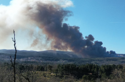 Imagen de la columna de fuego provocada por el incendio