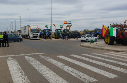 Camiones y tractores parados en el Centro de Trasnportes de Don Benito 