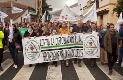 Manifestación en Jerte