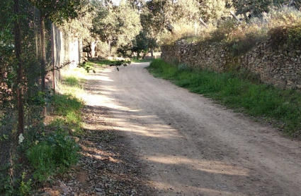 Circuito de motocross de La Codosera donde se ha producido el accidente