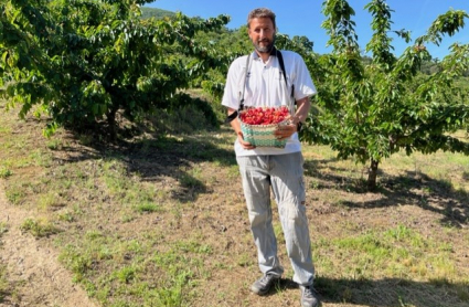 Un cultivador de cereza en su primer día de campaña.