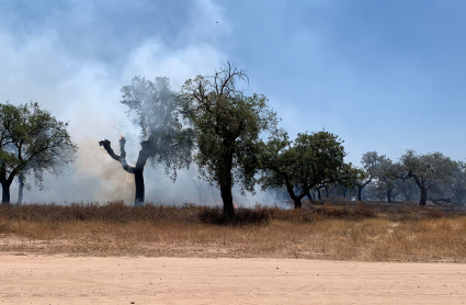 Incendio en la zona de Manantío, en Badajoz