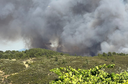 Incendio Villanueva de La Vera