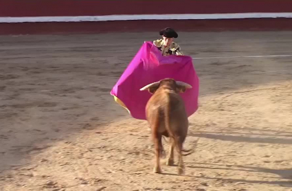 tierra de toros 318