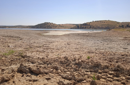 Imagen de la sequía que castiga a la playa de interior de Casas de Don Pedro