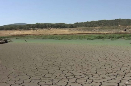 Pantano seco. Sequía