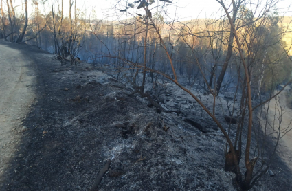 Imagen del incendio en Salvaleón