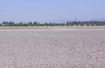 Imagen de un campo seco por la sequía