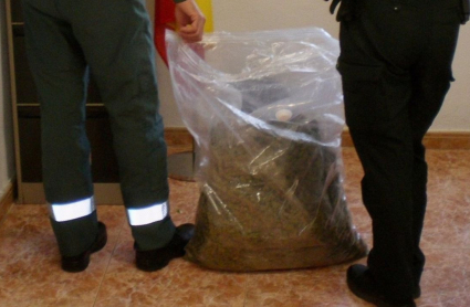 Cogollos de marihuana, Guardia Civil