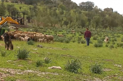 Efectos de la lluvia en el campo