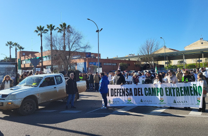 Manifestación en Mérida