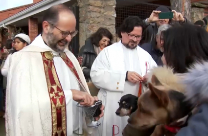 Bendición de animales en Plasencia