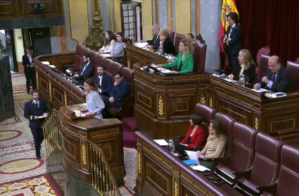 Irene Montero en el Congreso