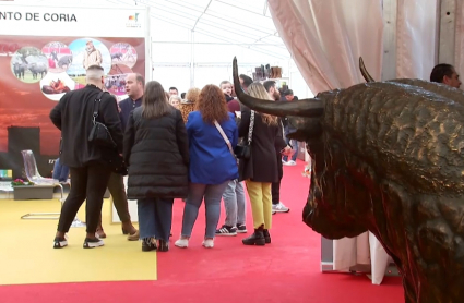 Feria del Toro en Coria