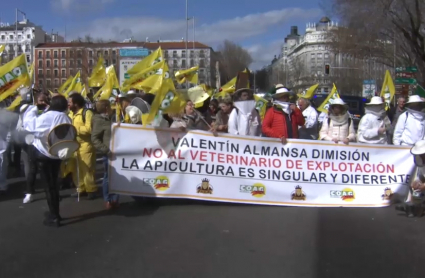 Apicultores se manifiestan en Madrid