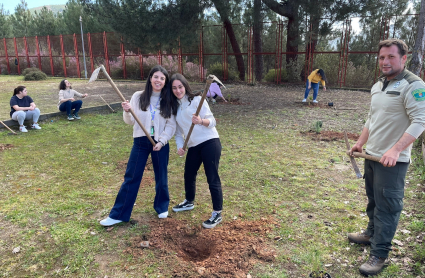 Reforestación en Las Hurdes