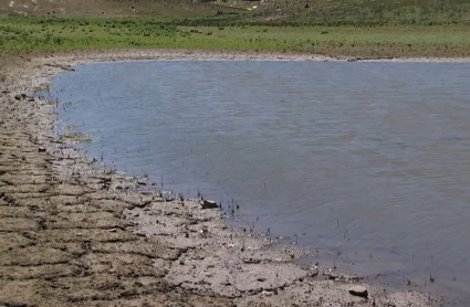 La escasez de agua se nota en los pantanos