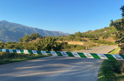 Camino asfaltado donde ha ocurrido el accidente