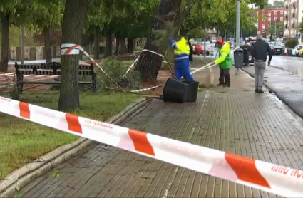 Incidentes tras la borrasca Aline