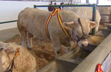 Feria Agroganadera de Trujillo